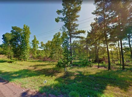 Undeveloped Land in Marion County, Texas