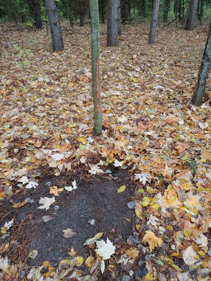 Recreational Property in Isabella County, Michigan