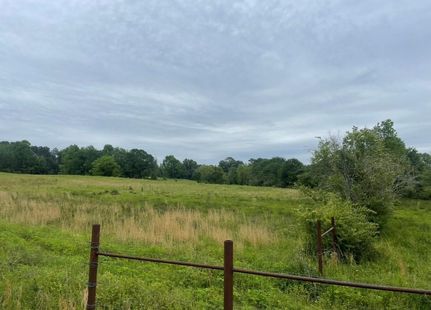 Timberland Property in Bowie County, Texas