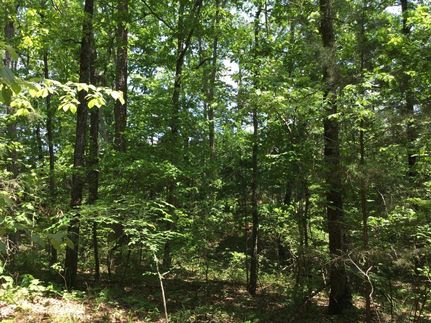 Farm and Ranch in Van Buren County, Arkansas