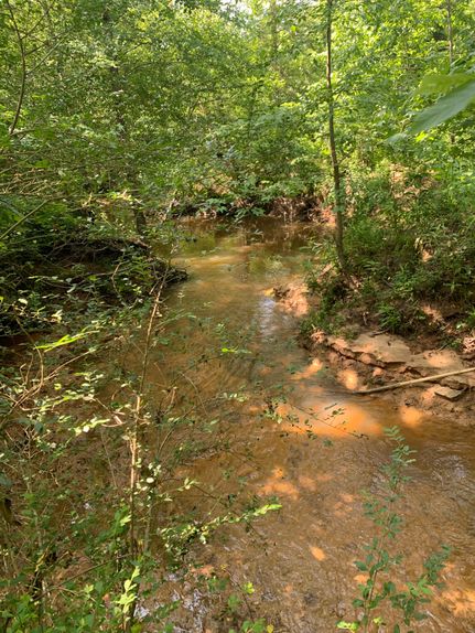 Recreational Property in Elbert County, Georgia