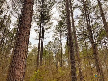 Land in Oglethorpe County, Georgia