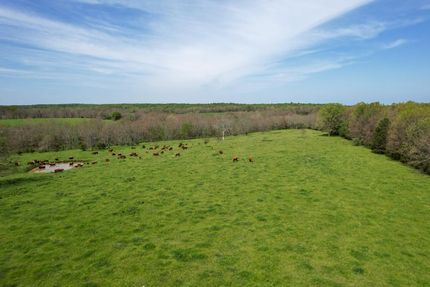 Recreational Property in Texas County, Missouri