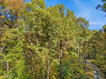 Land in Dawson County, Georgia