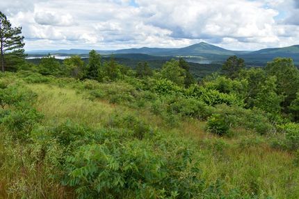 Undeveloped Land in Logan County, Arkansas