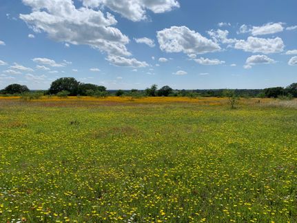 Undeveloped Land in Mills County, Texas