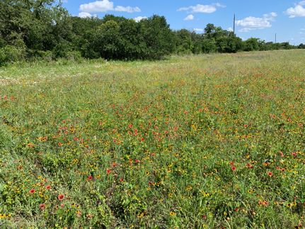 Undeveloped Land in Mills County, Texas