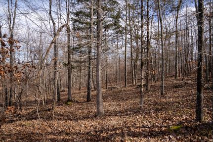 Land in Butler County, Missouri