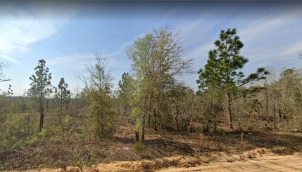 Recreational Property in Putnam County, Florida