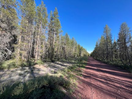 Undeveloped Land in Klamath County, Oregon
