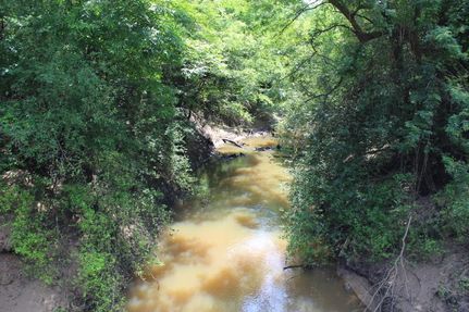 Undeveloped Land in Leon County, Texas