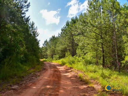 Lakefront Property in Pickens County, Georgia