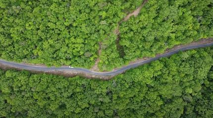 Undeveloped Land in Frederick County, Virginia