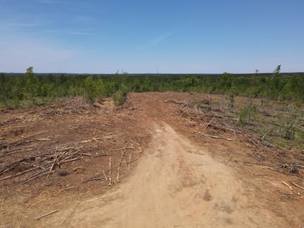 Recreational Property in Wilcox County, Alabama
