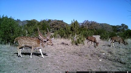 Recreational Property for sale in Edwards County, Texas