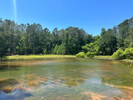 Undeveloped Land in Sumter County, Georgia