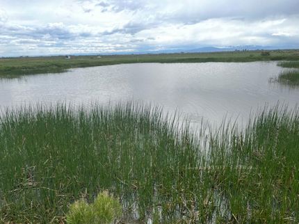 Commercial Property in Alamosa County, Colorado