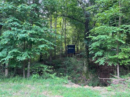 Farm and Ranch in Attala County, Mississippi