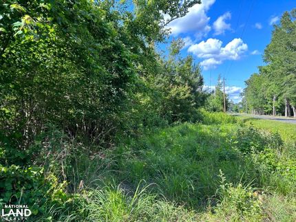 Farm and Ranch in Sumter County, South Carolina