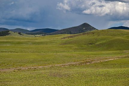 Undeveloped Land in Park County, Colorado