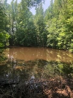 Undeveloped Land in Union Parish, Louisiana