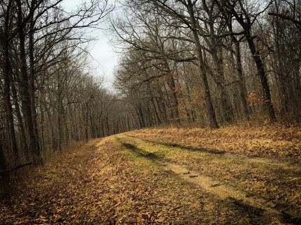 Land in Benton County, Missouri