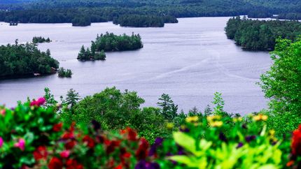 Undeveloped Land in Highlands County, Florida
