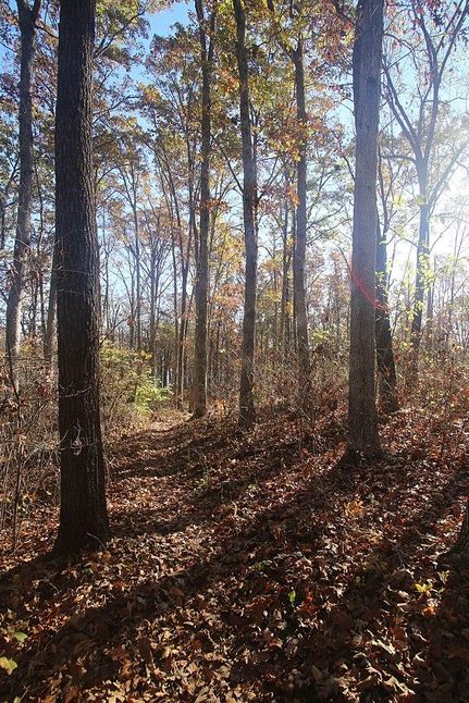 Riverfront Property in Jefferson County, Missouri