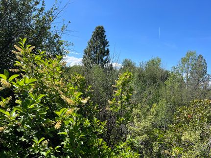 Land in Klamath County, Oregon