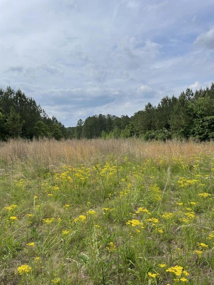 Undeveloped Land in Meigs County, Tennessee