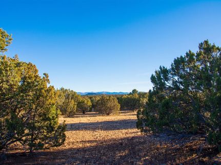 Farm and Ranch in Apache County, Arizona