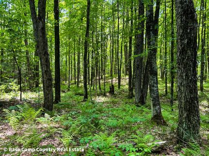 Undeveloped Land in Marinette County, Wisconsin