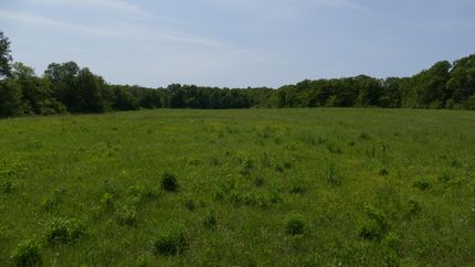 Timberland Property in Montgomery County, Missouri