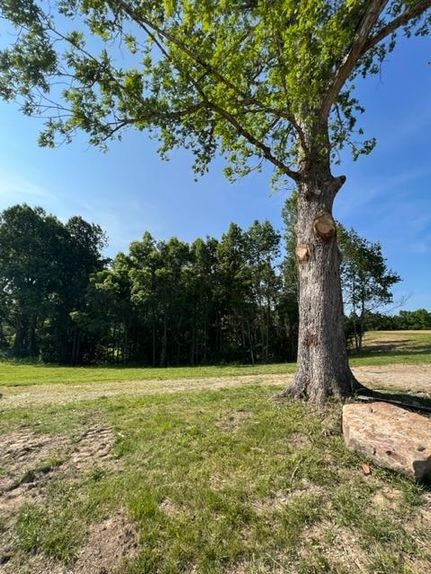 Undeveloped Land in Wolfe County, Kentucky