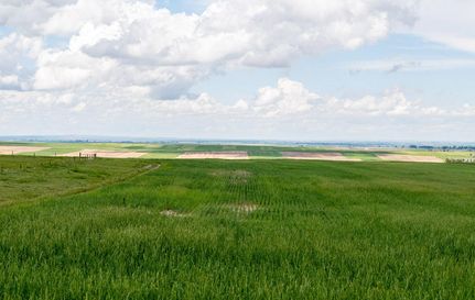 Farm and Ranch in Goshen County, Wyoming