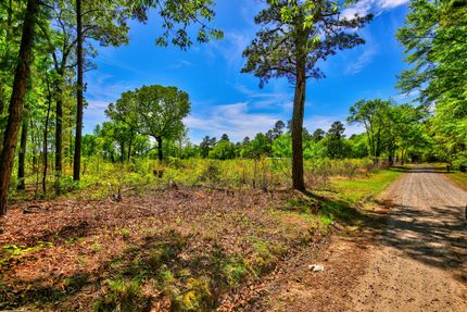 Undeveloped Land in Berkeley County, South Carolina