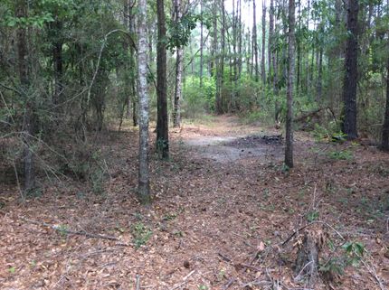 Recreational Property in Covington County, Alabama