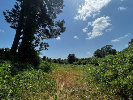 Hunting Property in Marshall County, Mississippi