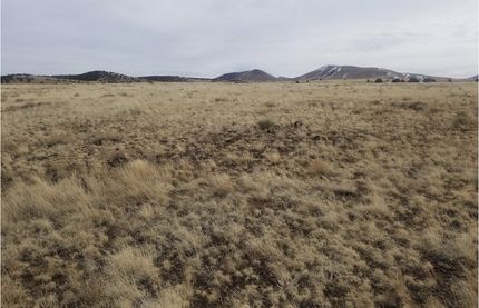 Farm and Ranch in Apache County, Arizona