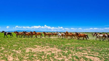Undeveloped Land in Pueblo County, Colorado
