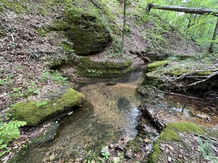 Undeveloped Land in Hickman County, Tennessee