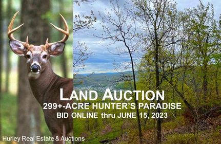 Hunting Property in Allegany County, Maryland