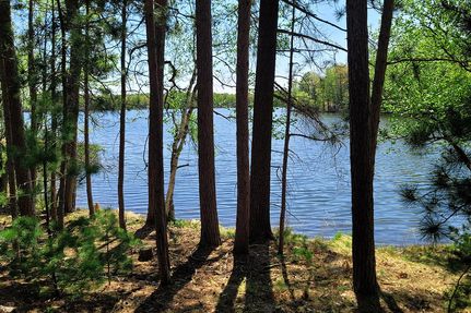 Timberland Property in Oneida County, Wisconsin