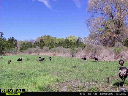 Recreational Property in Warren County, Mississippi