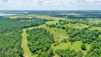 Undeveloped Land in Grimes County, Texas
