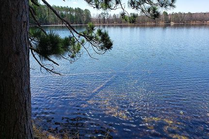 Timberland Property in Oneida County, Wisconsin