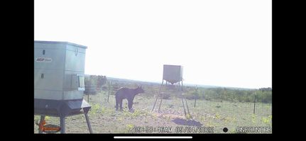 Land in Terrell County, Texas