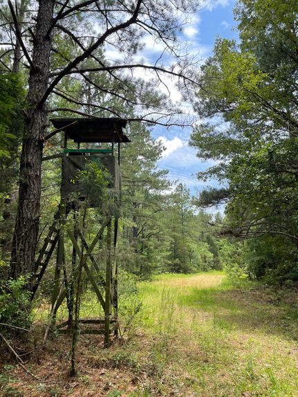 Recreational Property in Hinds County, Mississippi