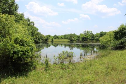 Undeveloped Land in Fannin County, Texas