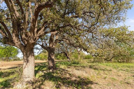 Hunting Property in Bosque County, Texas